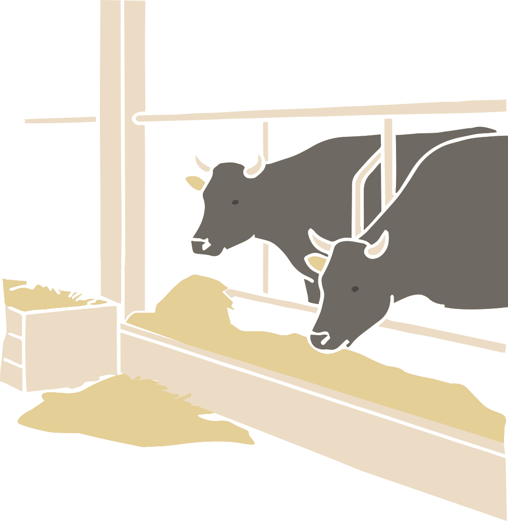 牛のイメージ